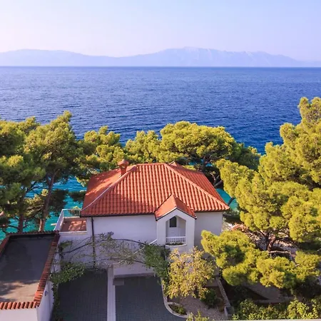 Rosika Guest house