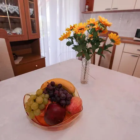 Rosika Guest house