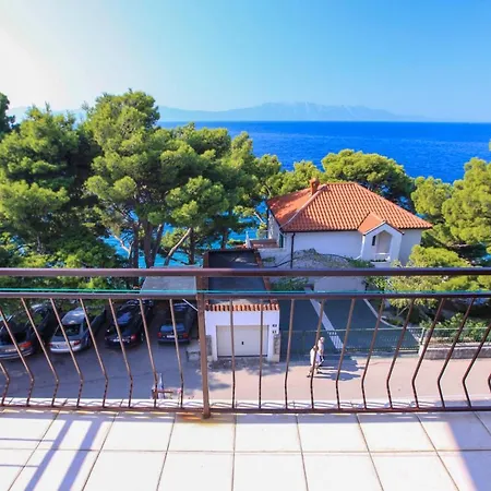 Guest house Rosika